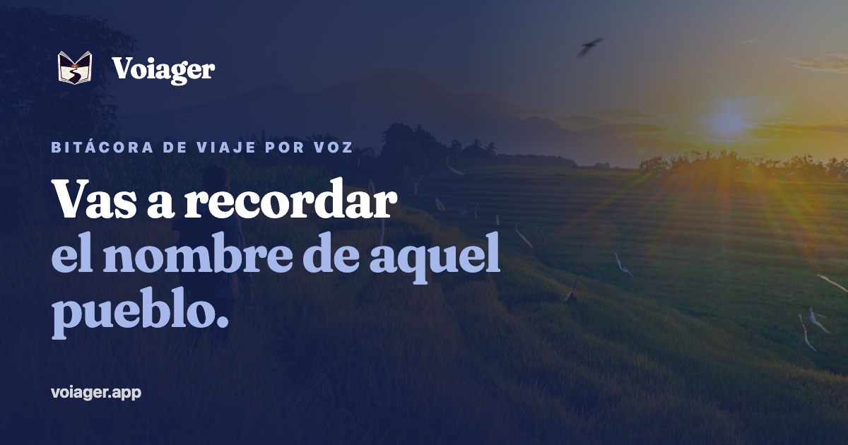 Preview image published by voiager.app
